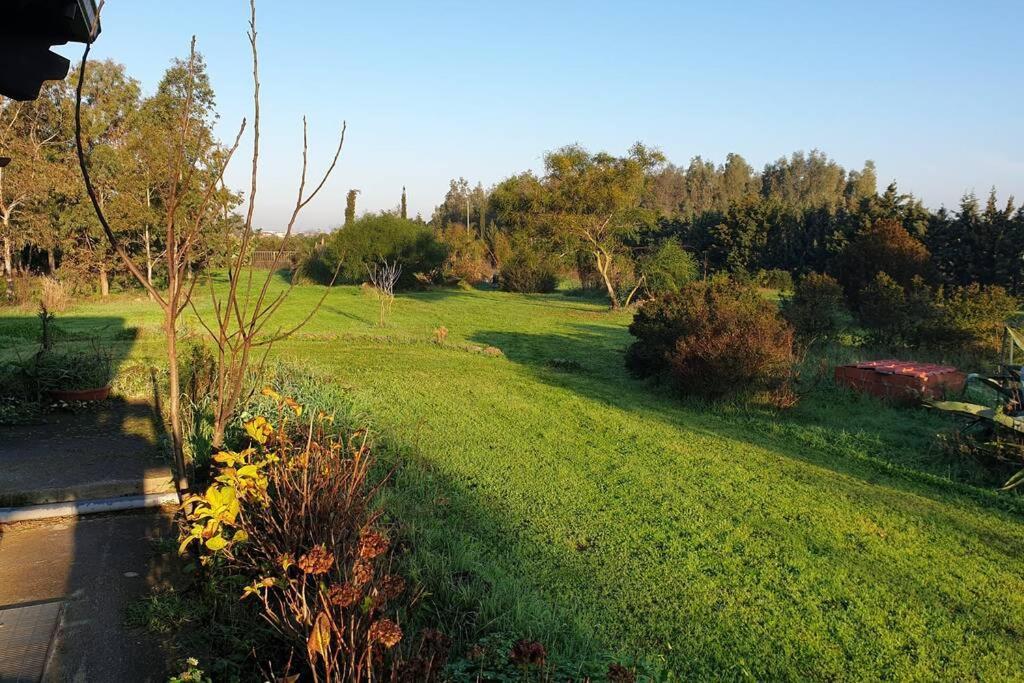 Marrùbiu Roby'S House, Vivi La Vacanza In Relax מראה חיצוני תמונה
